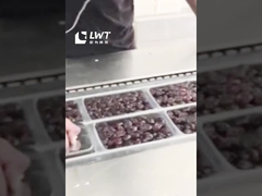 Производственная линия для упаковки даты Автоматическая упаковочная машина для натяжной пленки с вакуумной пленкой