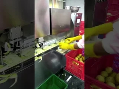 Лидворлд Консервированная линия производства фруктов Консервированная линия переработки груши