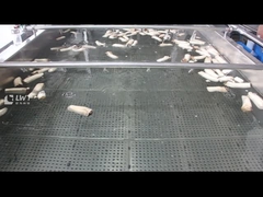 Машина для очистки грибов пузырьками